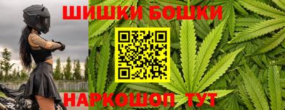 прущие грибы Можайск