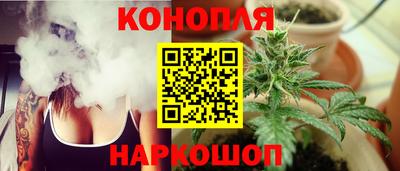 прущие грибы Можайск