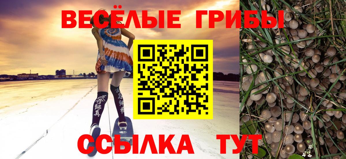Галлюциногенные грибы ЛСД Борисоглебск